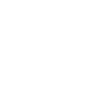 icon1