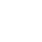 icon2 icon2